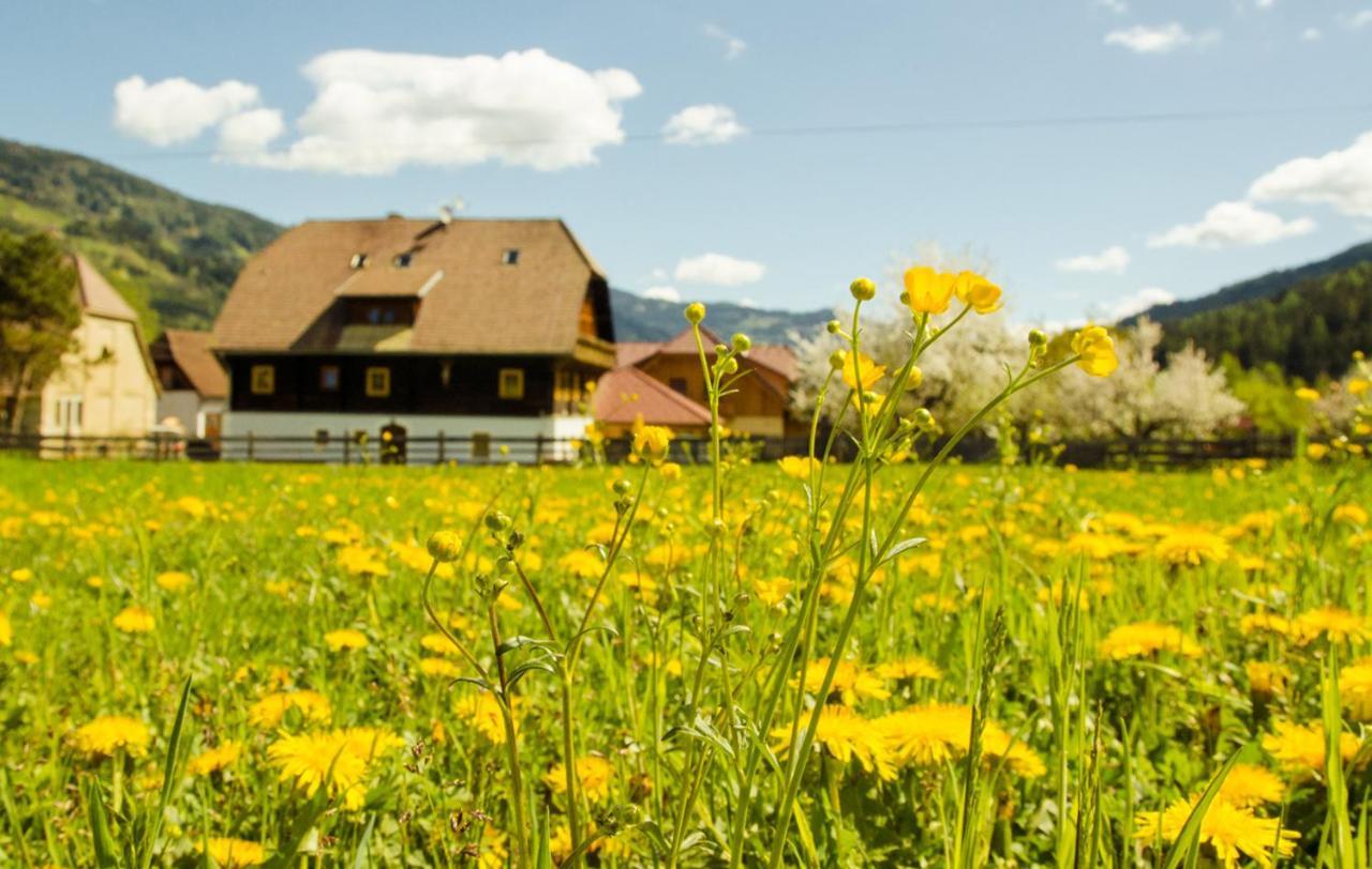 Farm stay Zechnerhof *