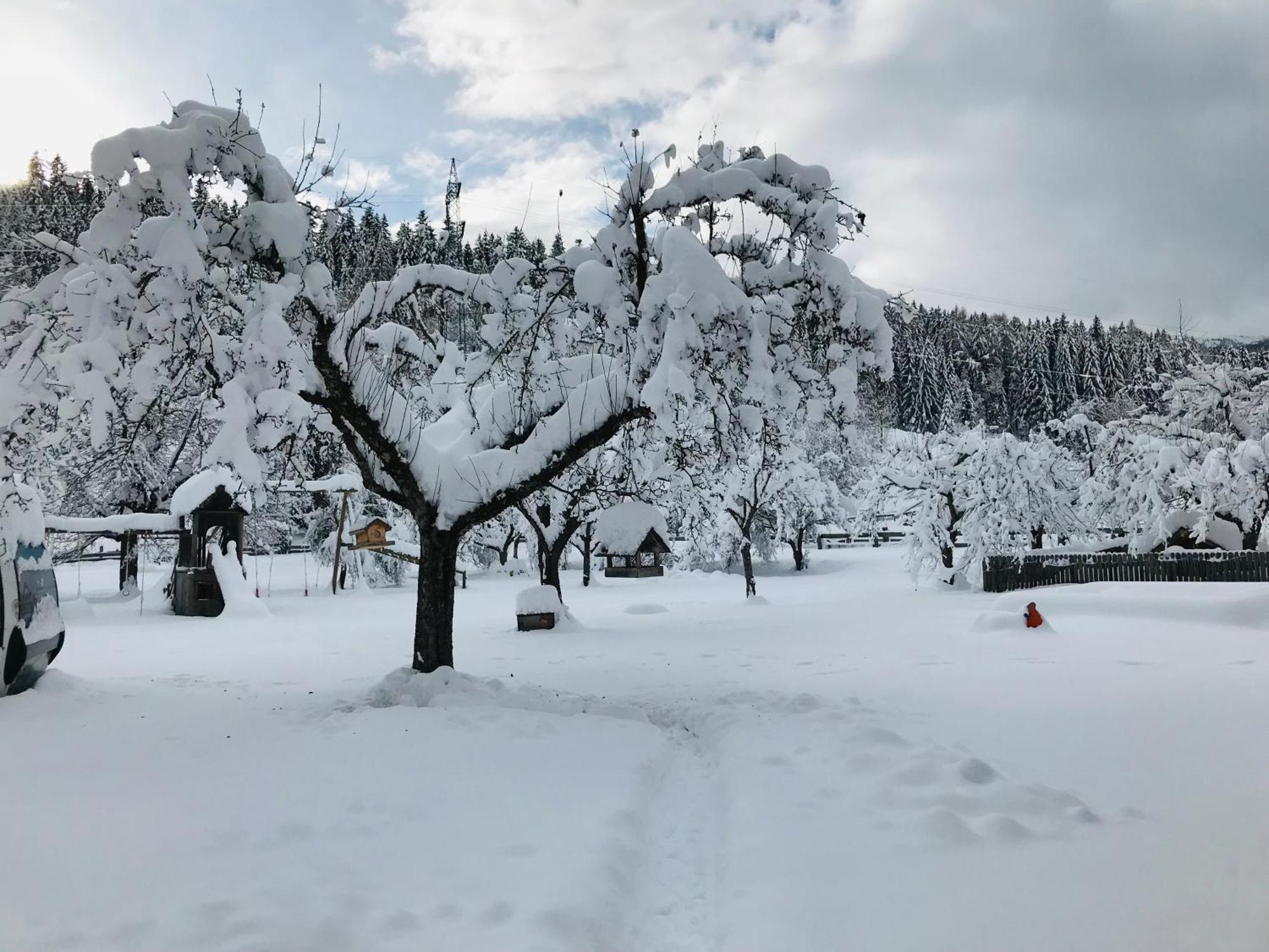Zechnerhof Farm stay Sankt Georgen ob Murau