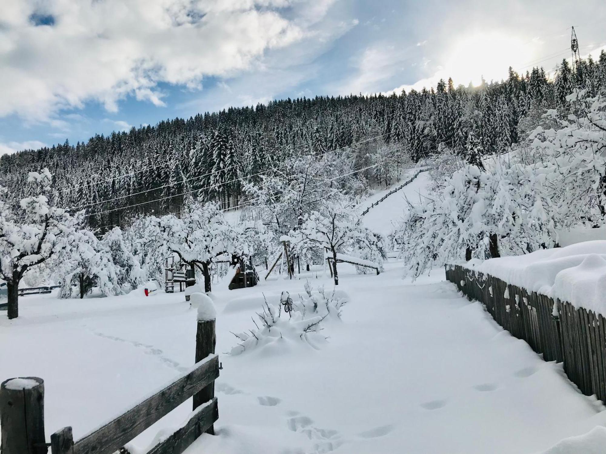 Farm stay Zechnerhof *