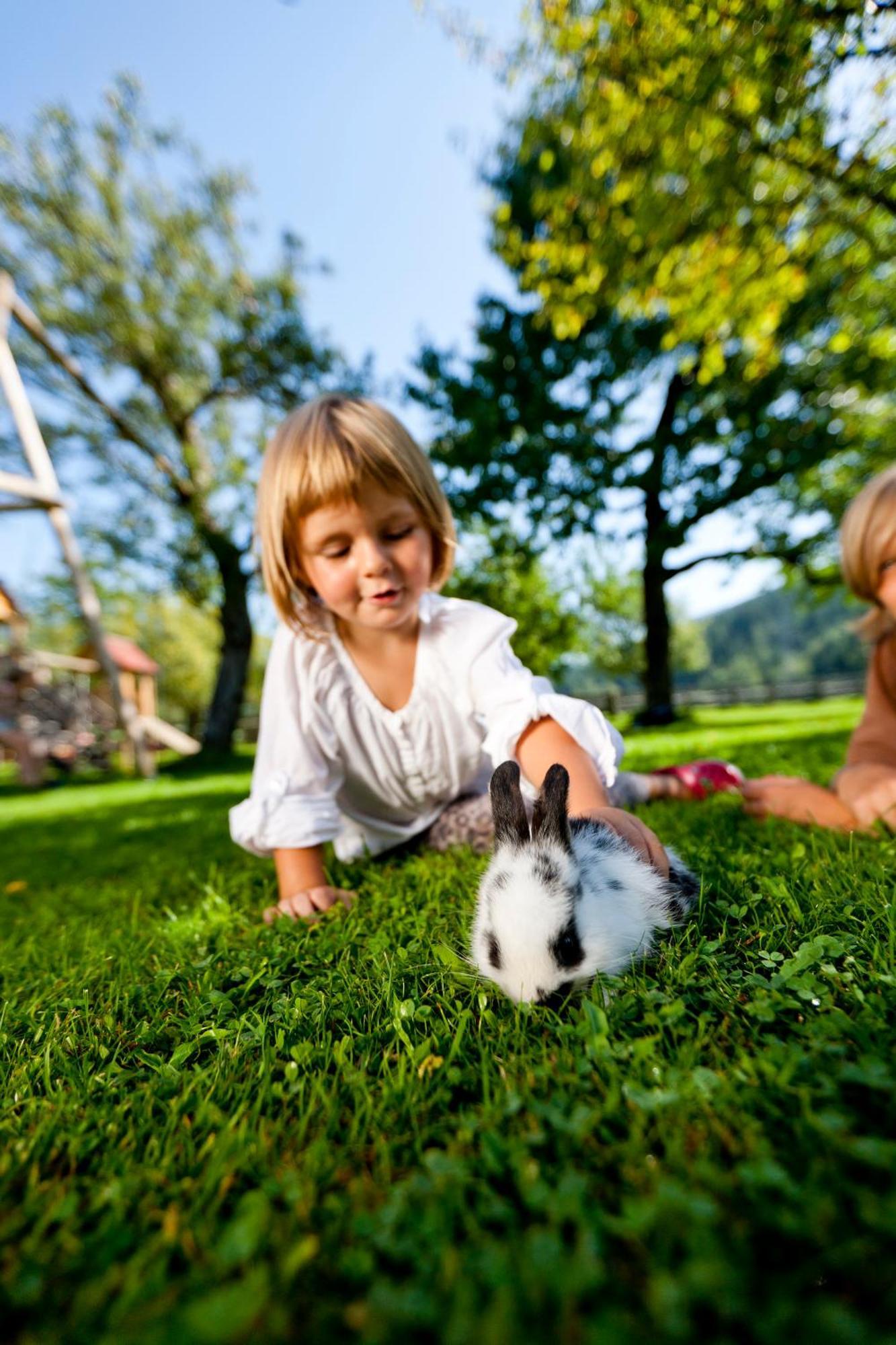 Zechnerhof Farm stay *