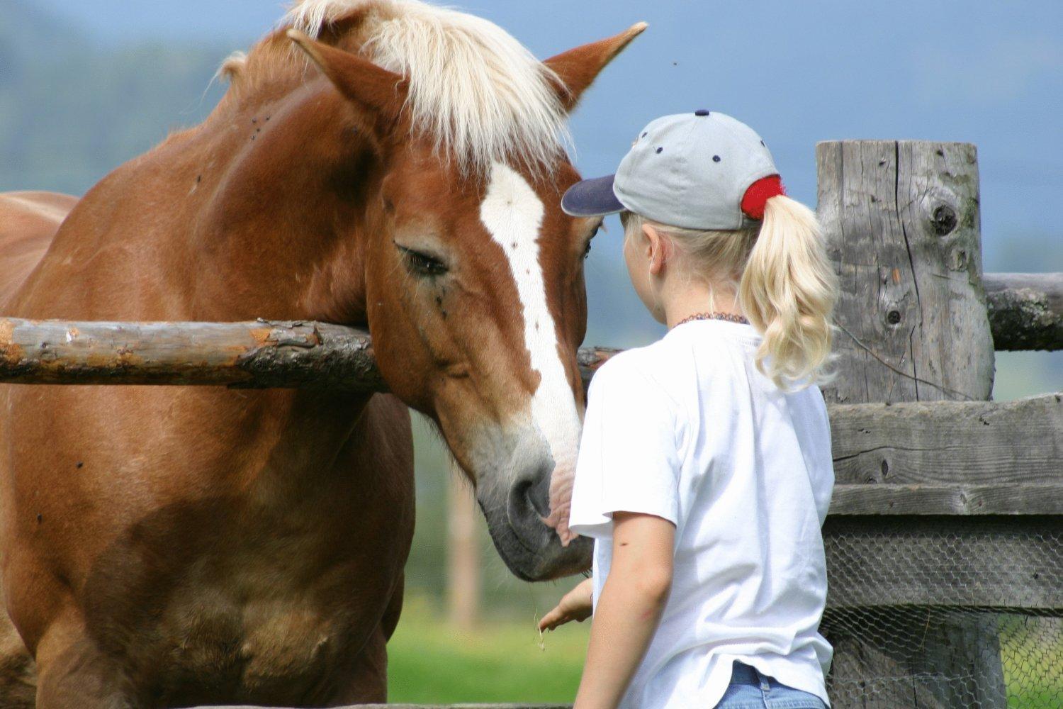 Zechnerhof Farm stay *